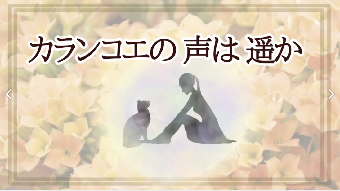 カランコエの声は遥か